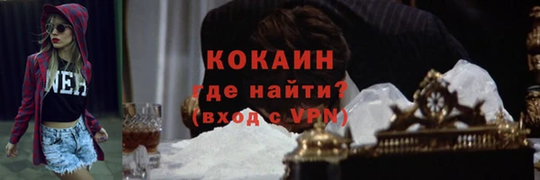 прущие грибы Ростов