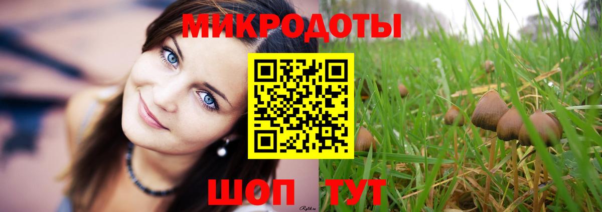 Боровичи  Псилоцибиновые грибы GOLDEN TEACHER  Псилоцибиновые грибы Magic Shrooms  Вход с VPN 